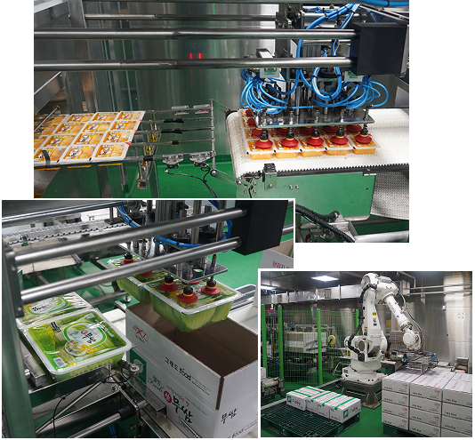 자동화 포장 설비
